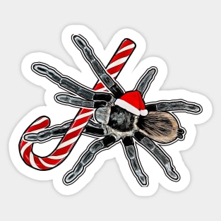 Tliltocatl vagans X-Mas Sticker